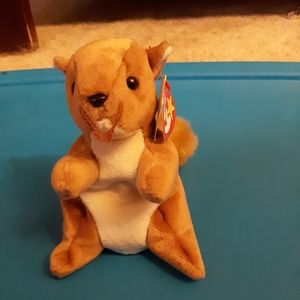 Nuts ty beanie baby